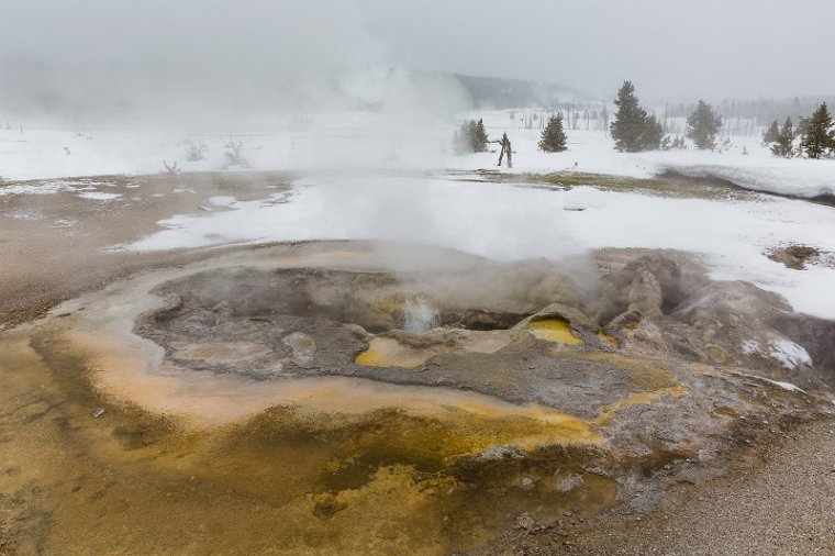 24 Yellowstone NP.jpg